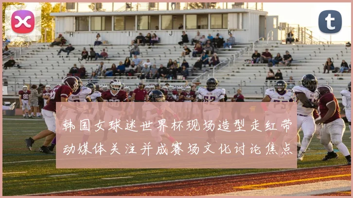 韩国女球迷世界杯现场造型走红带动媒体关注并成赛场文化讨论焦点